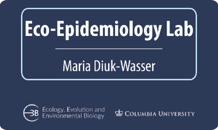 Eco-epidemiology lab logo. The PI of the lab is Maria Diuk-Wasser and it's located at the Department of Ecology, Evolution and Environmental Biology at Columbia University