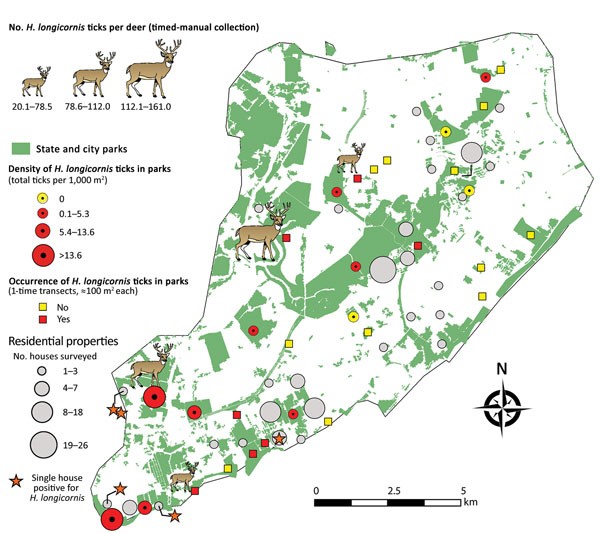 Map of Staten Island showing the parks and the number of ticks found in parks as well as the location of household surveys and the houses where we found longhorned ticks. We also show the number of ticks on deer that were captured for vasectomies and their location.