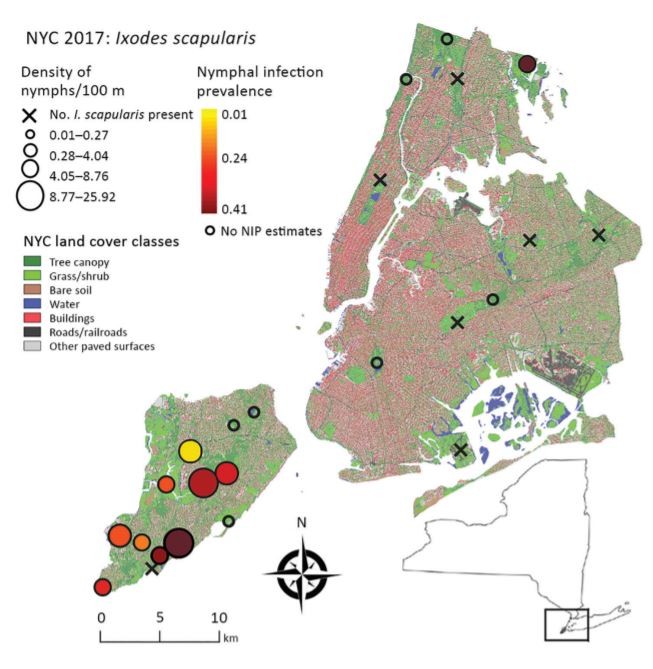 Map of New York City showing the density of nymphs in parks and the nymphal infection prevalence