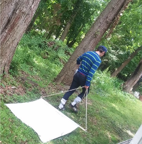 Member of the research team sampling ticks in a yard