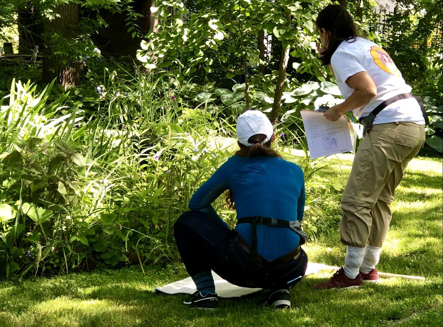 Looking for ticks