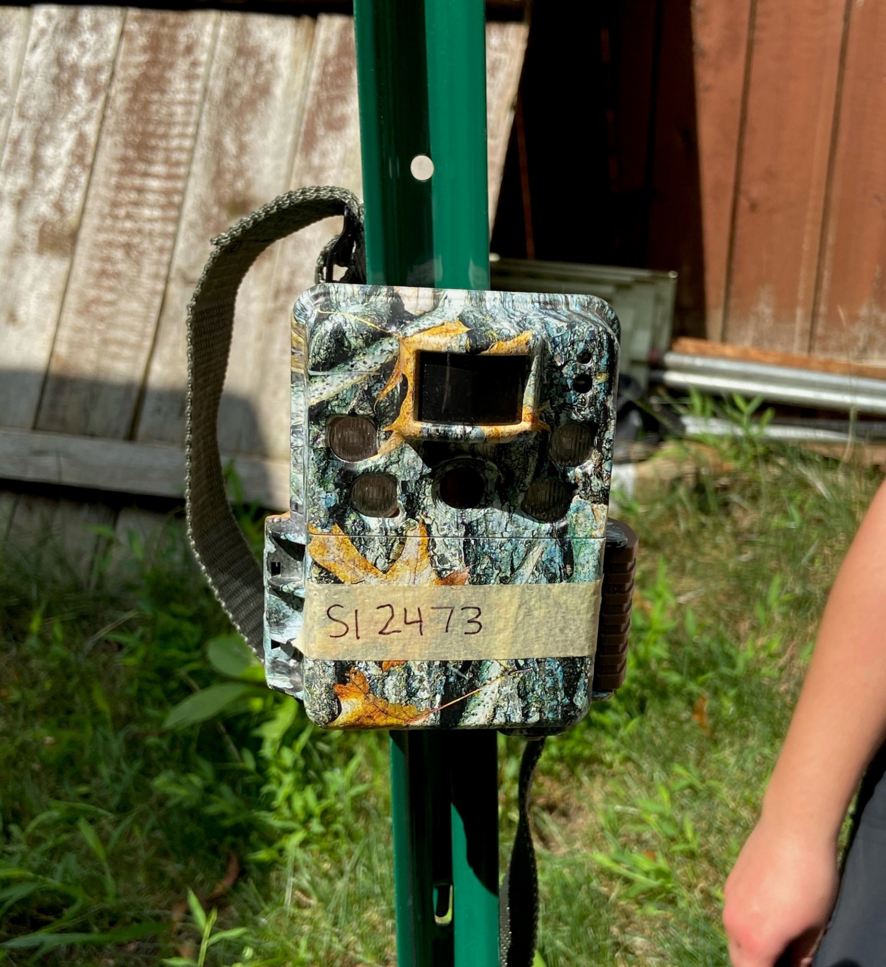 Trail camera